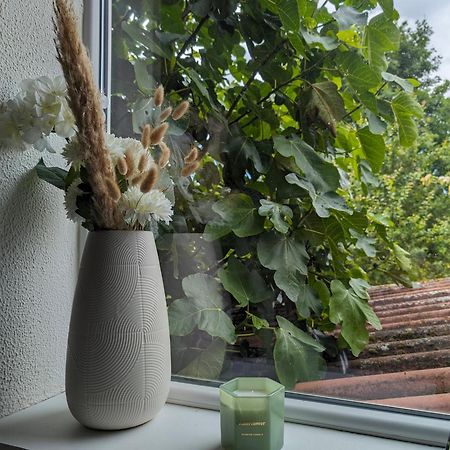 Evasion Verte En Alsace ! Niederschaeffolsheim Eksteriør bilde